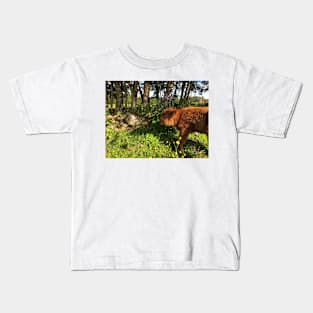 Scottish Highland Cattle Calf 1782 Kids T-Shirt